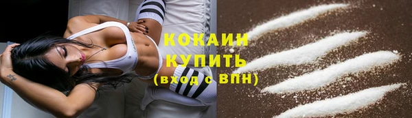 стаф Горняк