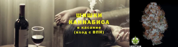 ГАЛЛЮЦИНОГЕННЫЕ ГРИБЫ Горно-Алтайск