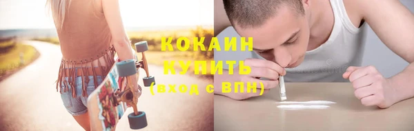 ГАЛЛЮЦИНОГЕННЫЕ ГРИБЫ Горно-Алтайск