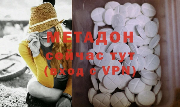 ГАЛЛЮЦИНОГЕННЫЕ ГРИБЫ Горно-Алтайск