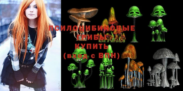 стаф Горняк