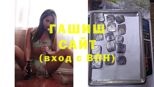 стаф Горняк