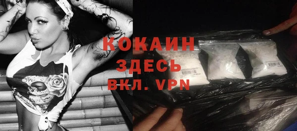 ГАЛЛЮЦИНОГЕННЫЕ ГРИБЫ Горно-Алтайск