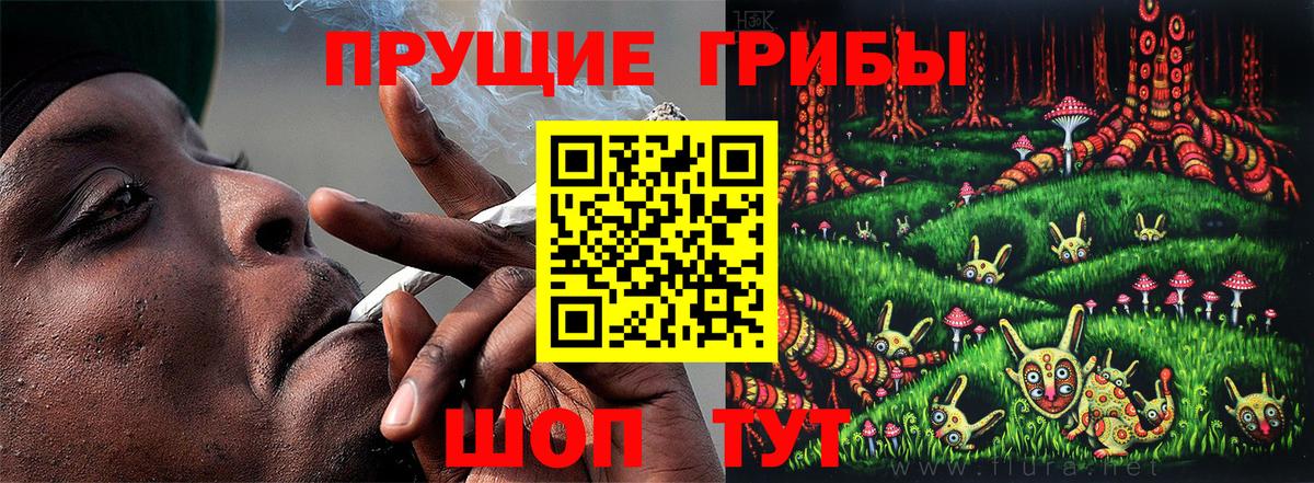 Галлюциногенные грибы Cubensis Дмитров