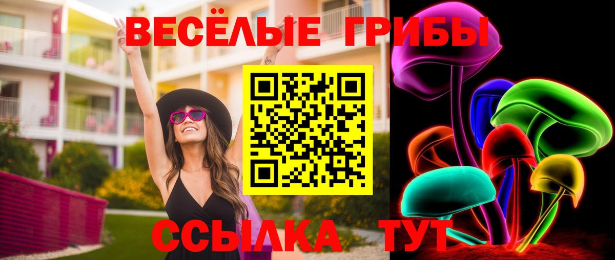 Галлюциногенные грибы Cubensis  Вход с VPN  Дмитров  Галлюциногенные грибы Psilocybe 