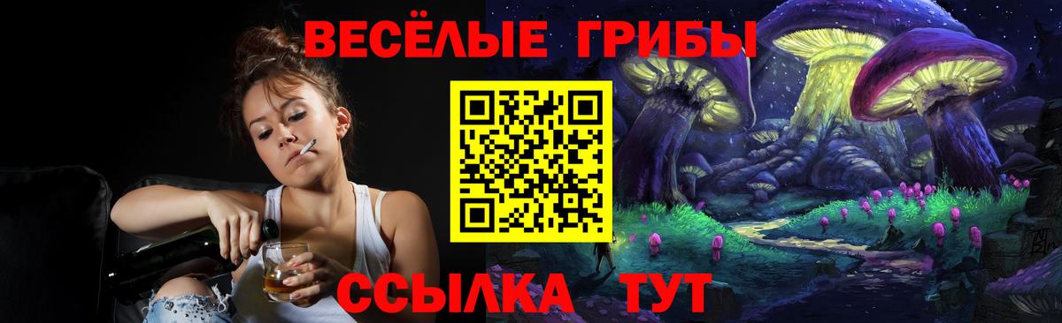 Псилоцибиновые грибы GOLDEN TEACHER  Дмитров 